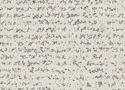 imgi_11_carpet-image